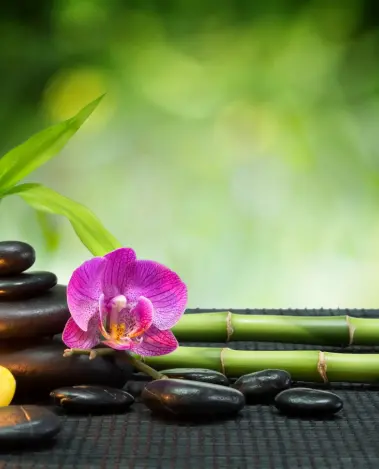 Анкета массажистки Александра - Фото 1, район Ленинский, 29 лет, №2473